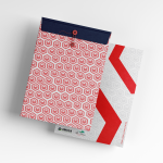 Envelope Mocup for carrillion2