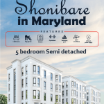 Shonibare flyer